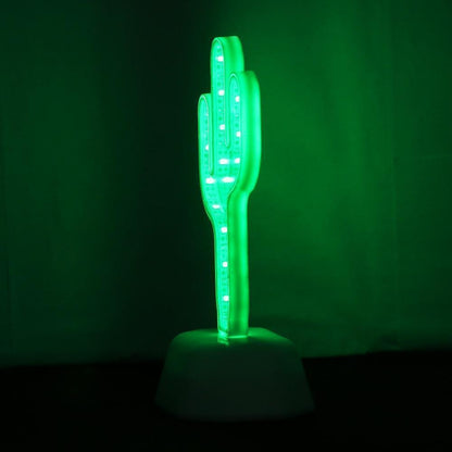 3D Cactus LED Infinity Lamp