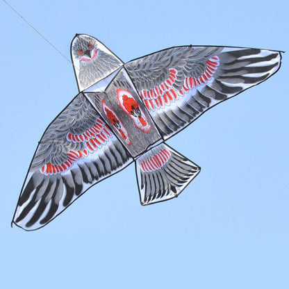 1.1m Flat Eagle Kite